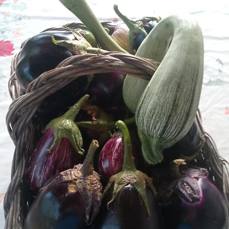 Agri Bertorella Κούνεο Εξωτερικό φωτογραφία