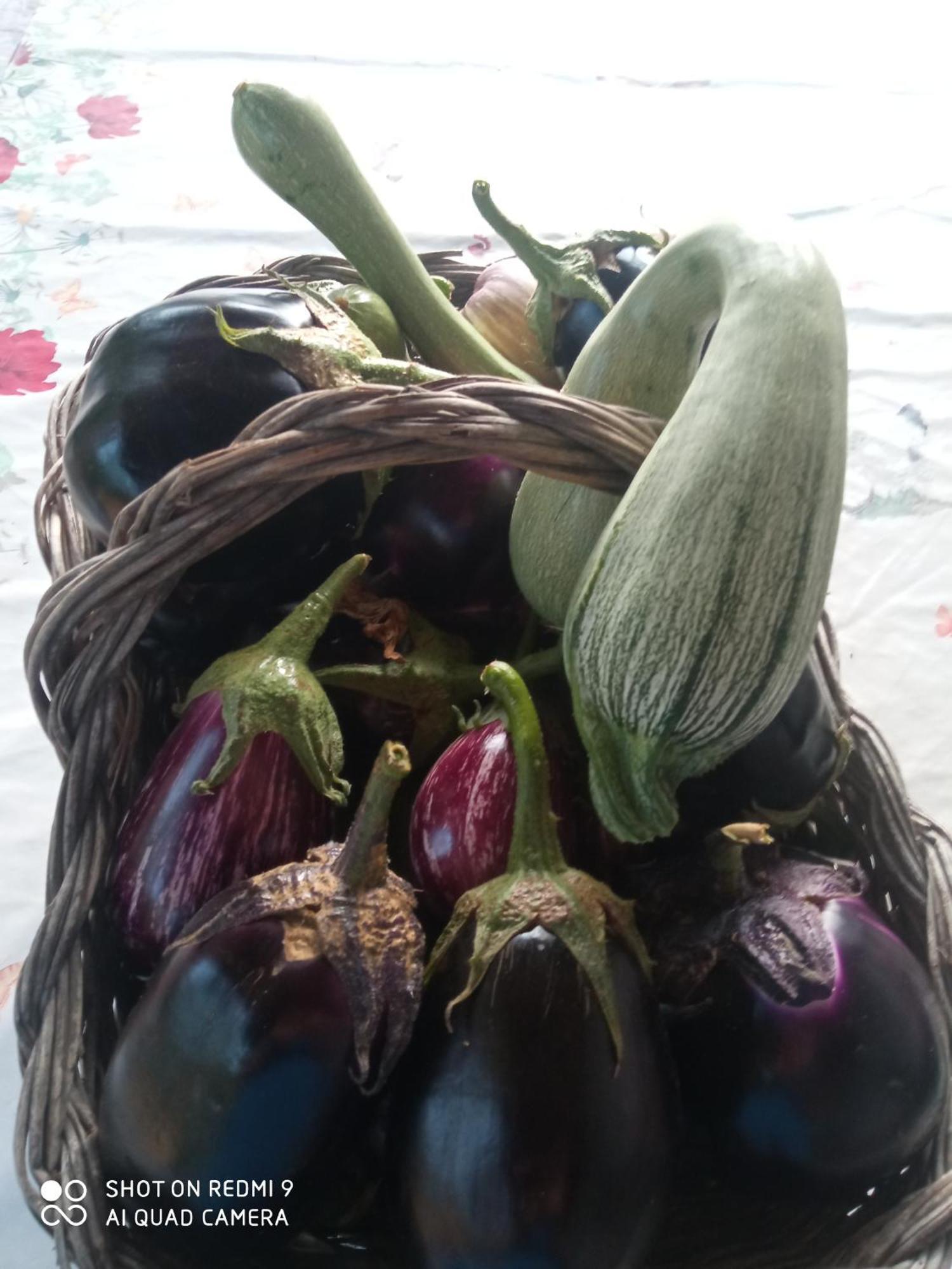 Agri Bertorella Κούνεο Εξωτερικό φωτογραφία